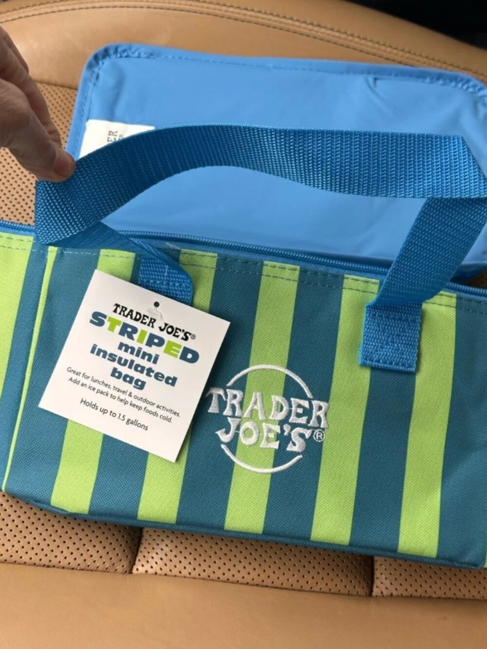 NWT Trader Joe's Blue and Green Striped Mini Insulated Tote New Spring 2026